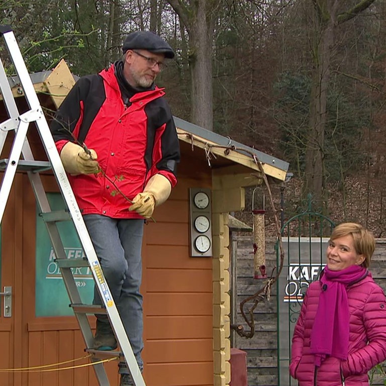 Sendung Vom M Rz Kaffee Oder Tee Tv