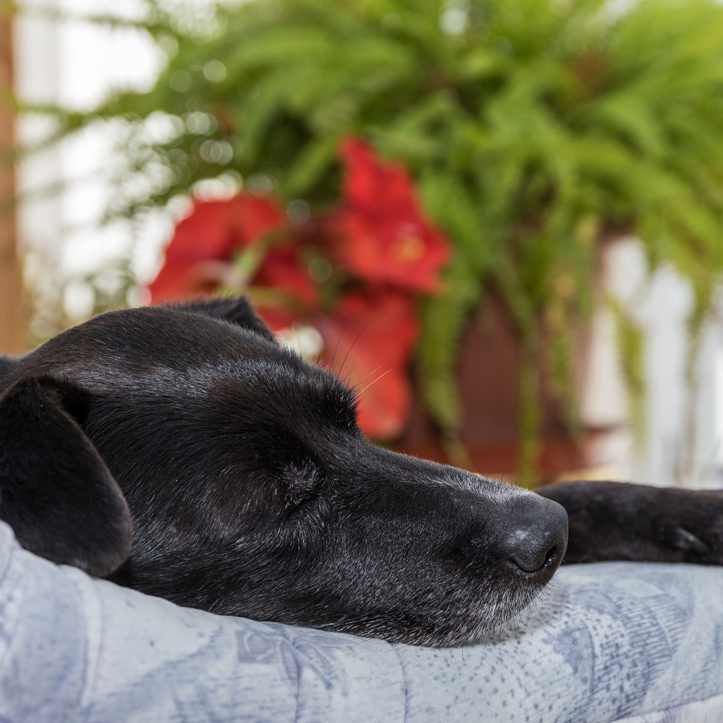 Tipps Gegen Den Inneren Schweinehund Kaffee Oder Tee TV