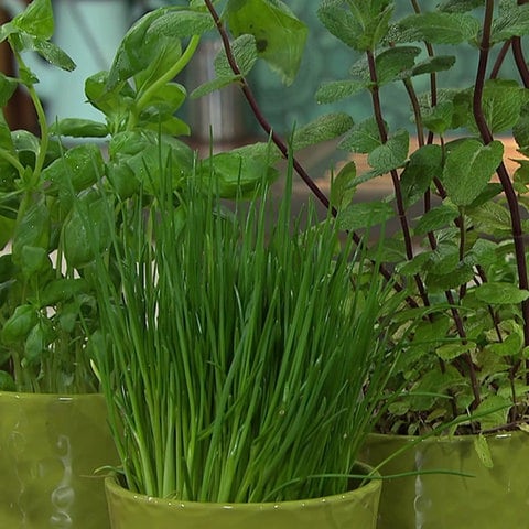 Feta Kichererbsen Aufstrich Rezepte Kaffee Oder Tee TV