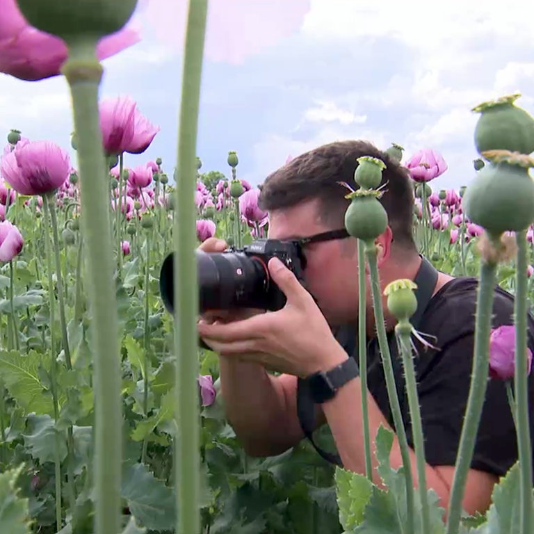 Fotospot im Mohnfeld In Erlenbach entstehen schönsten Bilder