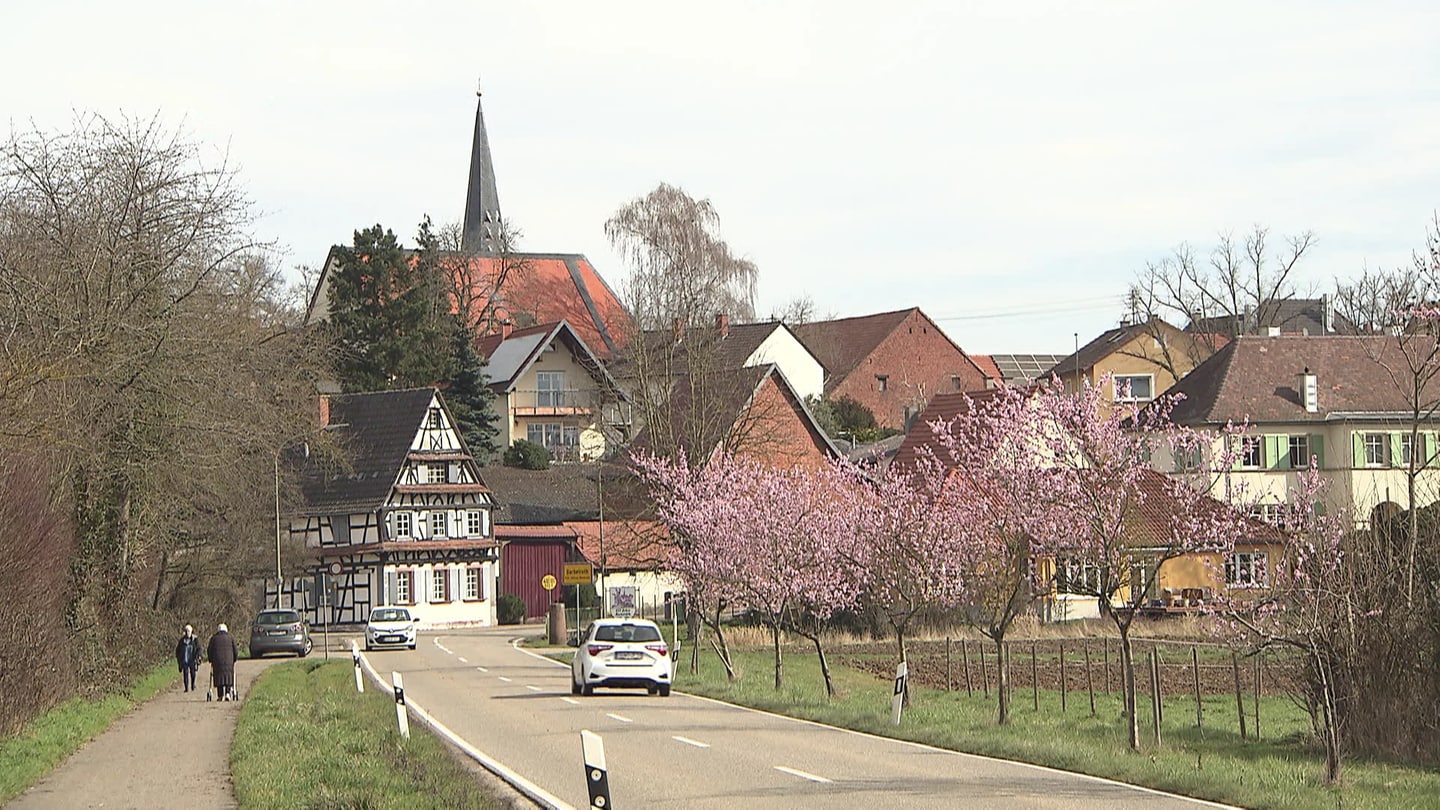 Hauptstraße in Barbelroth Landesschau Rheinland Pfalz TV