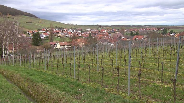 Schloßstraße in Pleisweiler Oberhofen Landesschau Rheinland Pfalz