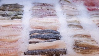 Frische Filets verschiedener Fische liegen in der Auslage der Fischtheke im Frischeparadies Hamburg. Welchen Fisch kann man zum Fest mit gutem Gewissen essen?