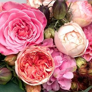 Rosen und Hortensien