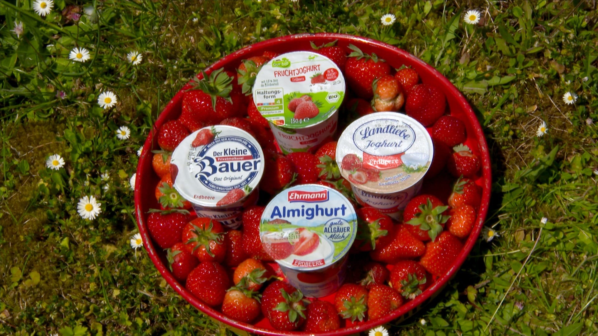 Welcher Erdbeerjoghurt schmeckt am besten? - Ratgeber - ARD-Buffet - TV