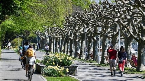 Radfahrer am Bodensee