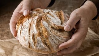 frisches Brot