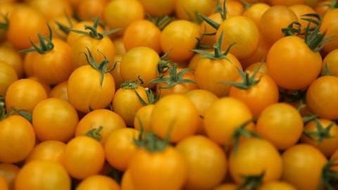 Geerntete gelbe Tomaten liegen auf einem Haufen