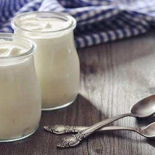 Zwei Glässer mit probiotischem Joghurt stehen auf einem Holztisch