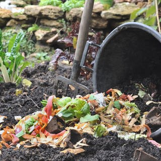Küchenabfälle und Kompost im Garten