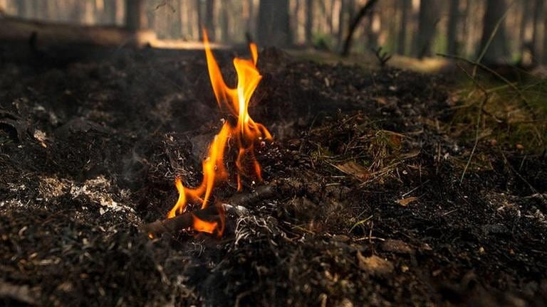 RLP News Ticker: Kobieta umiera – Mężczyzna aresztowany, szaleństwo pożarów lasów