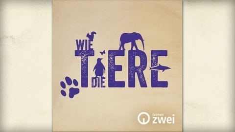 Podcast: wie die Tiere