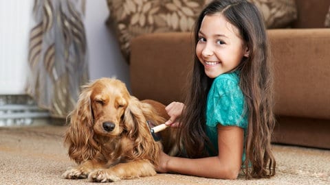 Fellpflege: Ein Mädchen kämmt einen Hund