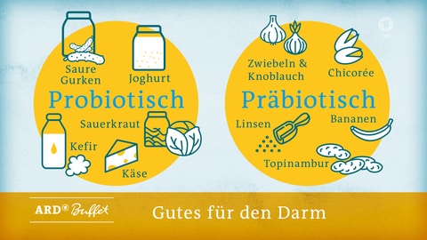 Grafik: Probiotische Lebensmittel