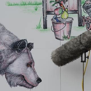 Gezeichneter Bär, davor ein Richtmikrofon mit Puschel