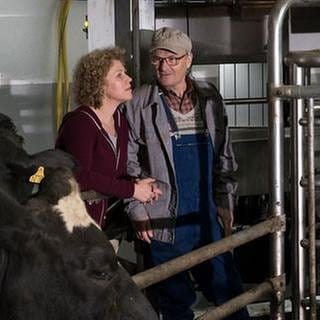 Karl und Bea im Kuhstall, im Vordergrund eine Kuh