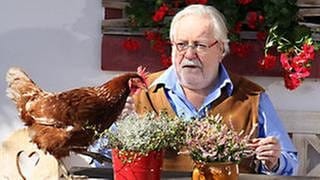 Hermann sitzt draußen an einem Tisch, darauf Blumen und ein Huhn