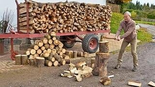 Karl hackt Holz