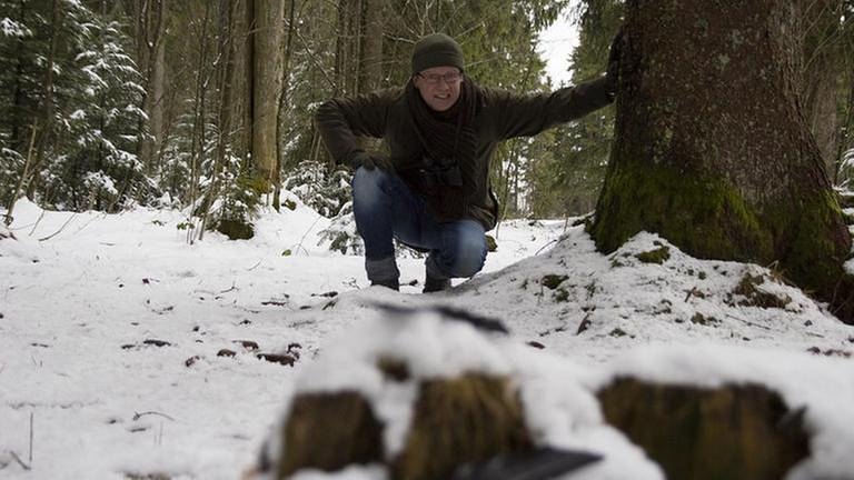 Bernhard im verschneiten Wald