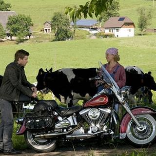 Andreas und Bea auf dem Gelände des Fallerhofes bei Andreas' Harley, im Hintergrund schwarzbunte Kühe
