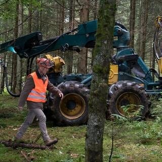 Karl und Riedle arbeiten mit dem Vollernter im Wald