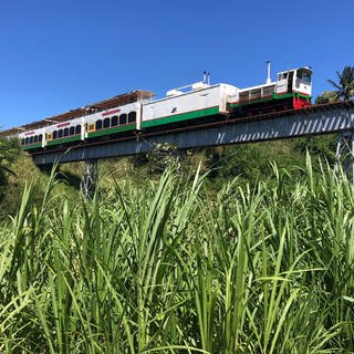 Zug auf der letzten der vier langen geländerlosen Eisenbahnbrücken bei Christchurch.