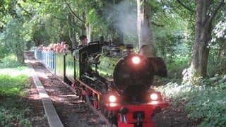 Bahn-Impressionen aus Sachsen