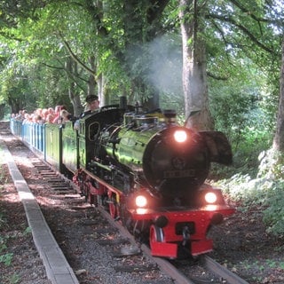 Bahn-Impressionen aus Sachsen