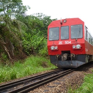 Wir sind nun unterwegs auf den letzten Kilometern vor Yaoundé.