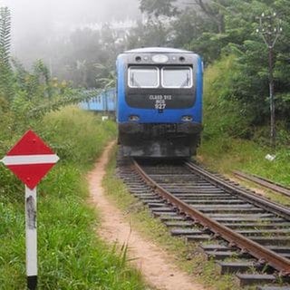 Ihre Blütezeit hatte die Main Line zur Zeit der britischen Herrschaft als sie als Plantagenbahn zum Transport von Waren und Tee benutzt wurde.