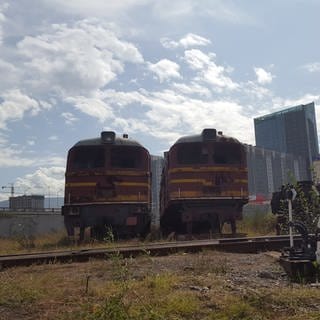 Manche würden diesen Ort als Eisenbahn-Schrottplatz bezeichnen. Für Kenner ist es ein Platz, auf dem Eisenbahngeschichte abgestellt wurde.