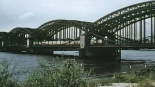 Süderelbebrücke