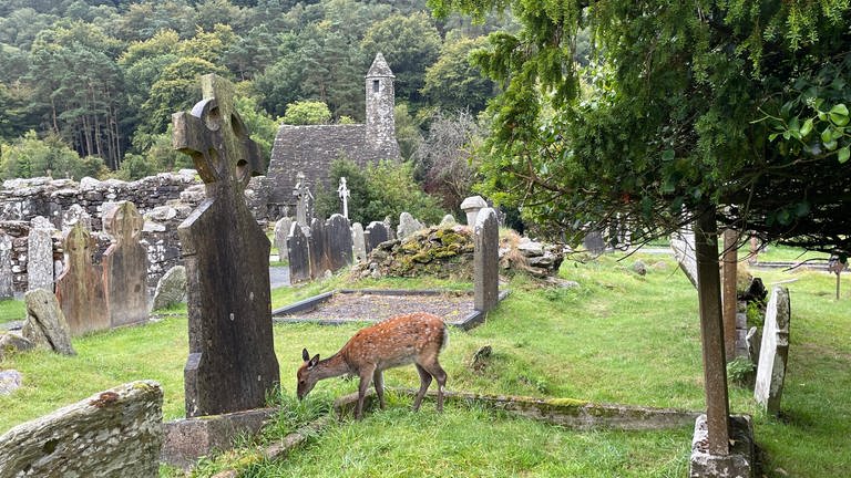 Der Friedhof von Glendalough zählt zu den magischen Orten in Irland, an denen Natur und Kultur in Einklang sind.