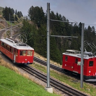 Parallelfahrt auf dem letzten Stück vor dem Gipfel: die Rigi-Bahner lieben dieses Schauspiel und wir auch. 