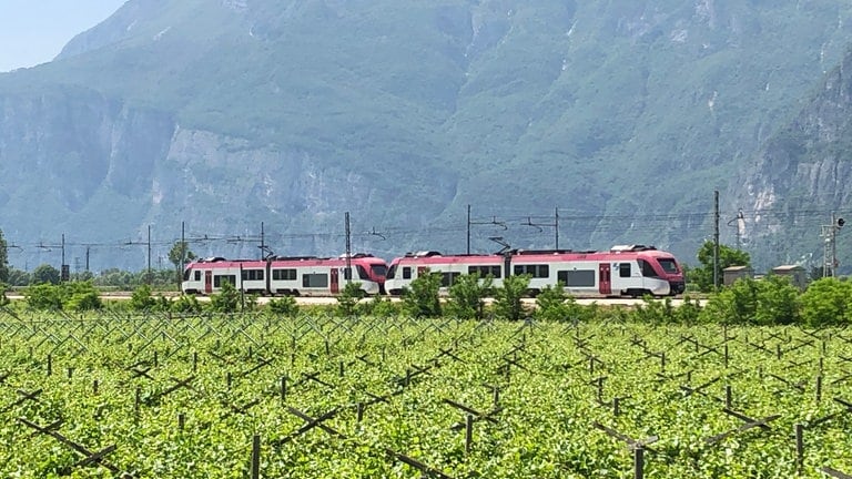 Die Nonstalbahn in der Ebene vor Mezzocorona, hier begleiten Weinreben die Zugstrecke.