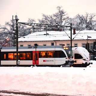 Zwei Züge in Konstanz