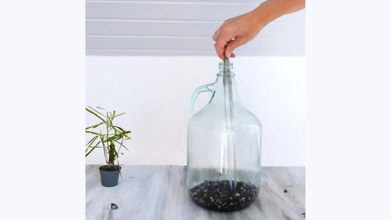 Der Boden sollte gleichmäßig bedeckt und zu 10-20 % der Glashöhe gefüllt sein. Vor dem Einpflanzen am besten nur 23 der Granulat Menge einfüllen, das kann das Einpflanzen erleichtern.