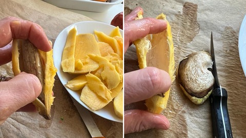 Mango selber ziehen