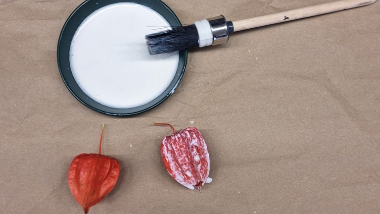 Physalis mit dem Pinsel mit Schnellanlegemilch bestreichen