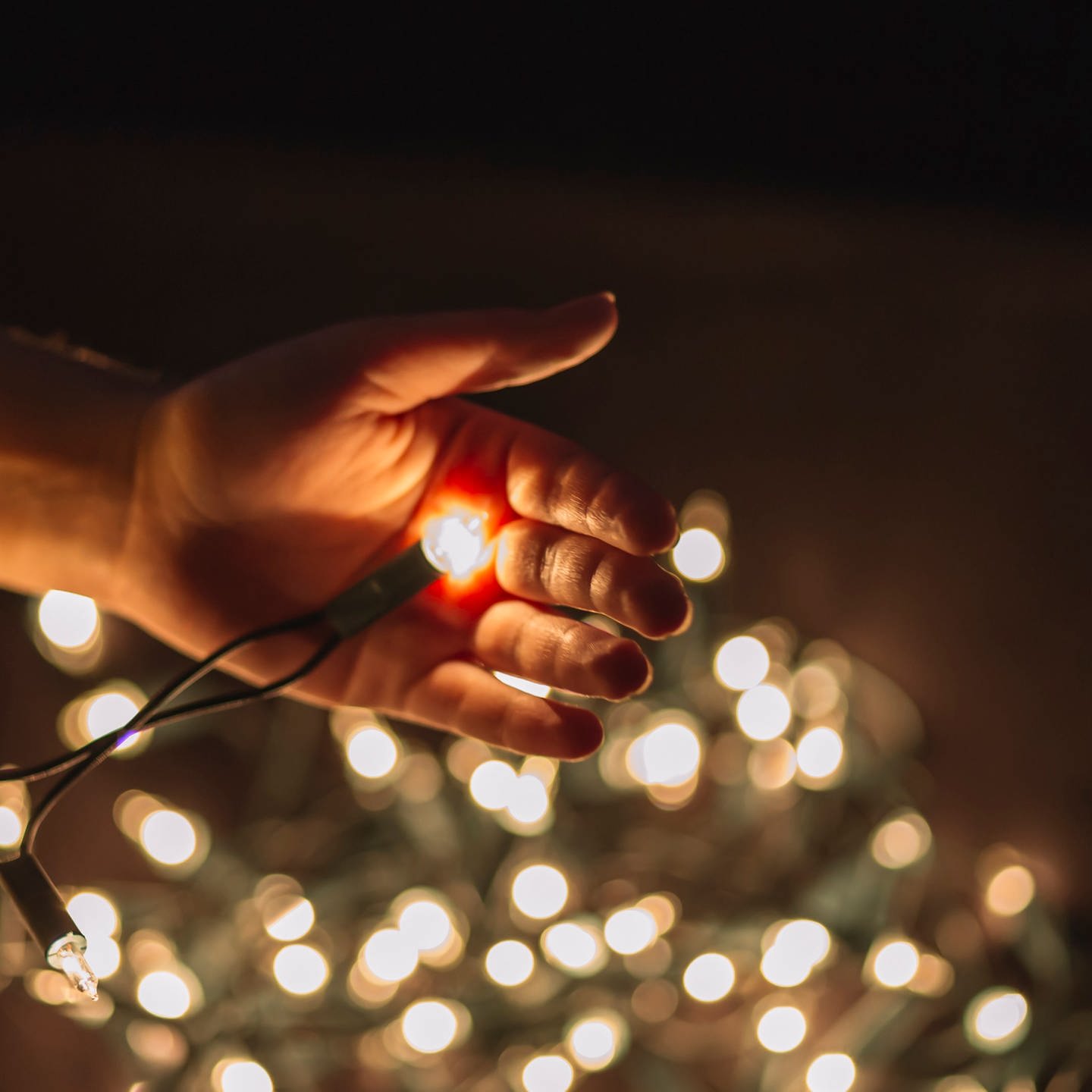 Weihnachtsbeleuchtung: So sparen Sie Strom - Kaffee oder Tee - TV