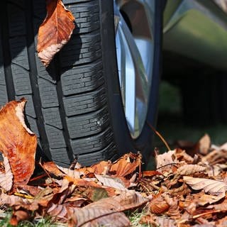 Winterreifen mit Herbstlaub