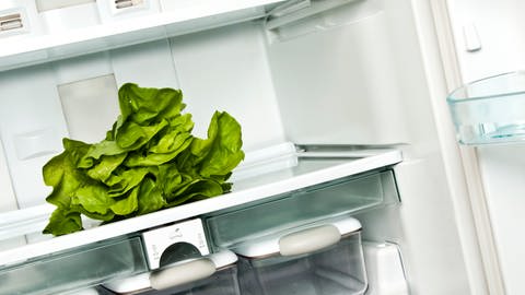 Strom sparen - leerer Kühlschrank mit Salatkopf