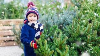 Ein Junge steht an einem Weihnachtsbaum-Verkauf.
