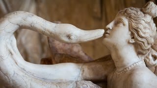 Liebe-Sex: Zeus als Schwan verkleidet, verführt Leda