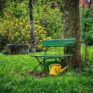 Natürlicher Garten