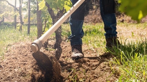 Mann hackt in Ackerboden - Einkaufsgemeinschaften für eine nachhaltige Landwirtschaft