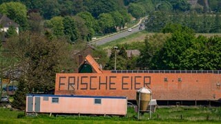 Dach mit Aufschrift Frische Eier - nachhaltige Einkaufsgemeinschaft 