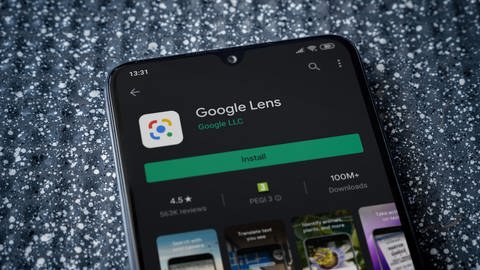 App Google Lens für den Ausflug ins Grüne