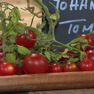 Tomaten