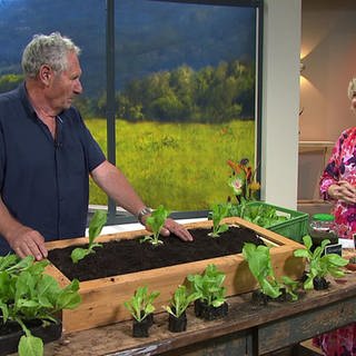 Gärtner Peter Berg und Moderatorin Heike Greis mit Herbstsalate